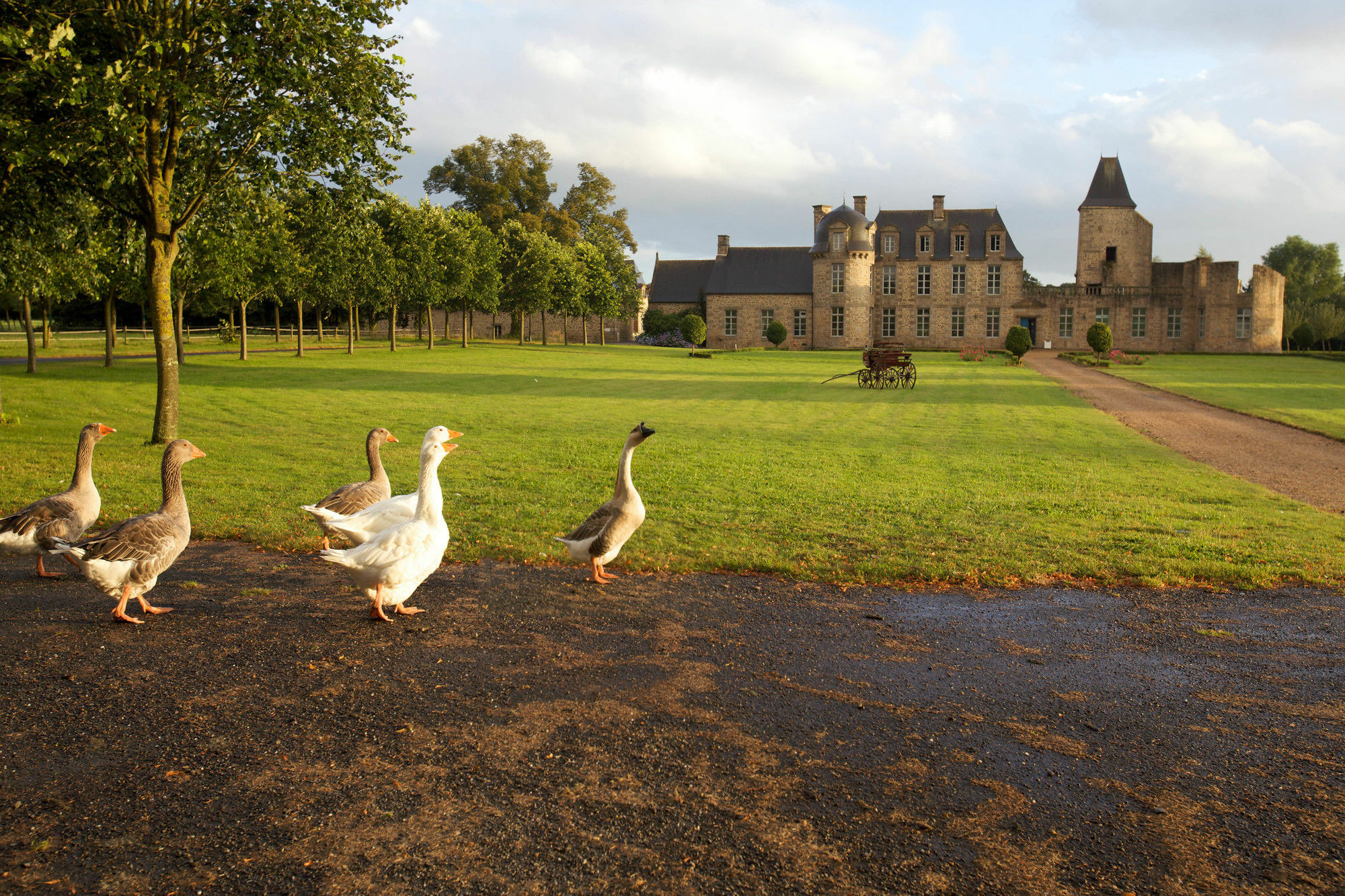 Chateau Du Bois-Guy Golf Parigné Esterno foto